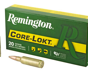 Remington Core-Lokt .300 Rem SAUM 165 gr PSP 20rd