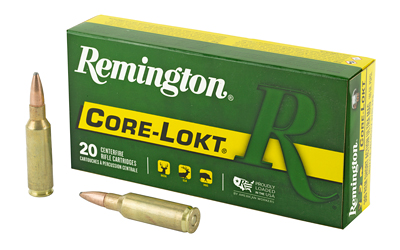 Remington Core-Lokt .300 Rem SAUM 165 gr PSP 20rd