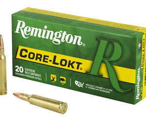Remington Core-Lokt .250 Savage 100 gr PSP — 20 rd