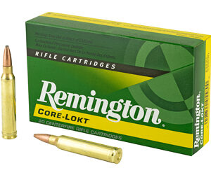 Remington Core-Lokt .300 Win Mag 180 gr PSP 20rd