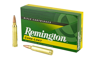 Remington Core-Lokt .300 Win Mag 180 gr PSP 20rd