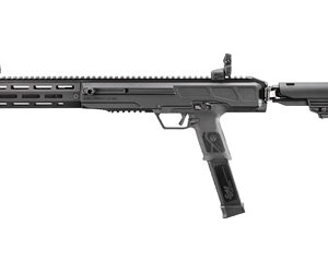 Ruger LC Carbine 10mm Auto 16.25 in 30rd