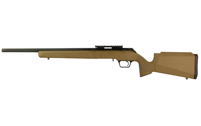 Springfield Armory Model 2020 Rimfire Target .22 LR 20″