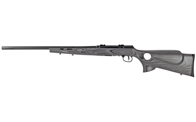 SV47005_1 Savage A17 Target Thumbhole 17 HMR 22 in. Grey Laminate