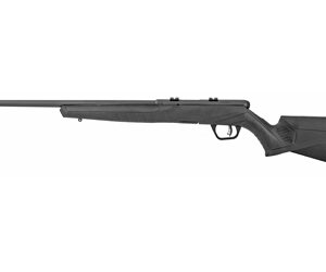 Savage B17 F 17 HMR 21in Bolt-Action Rifle, 10-Rd