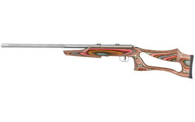 Savage Arms 93R17 BSEV 21 in. Bolt-Action Rifle