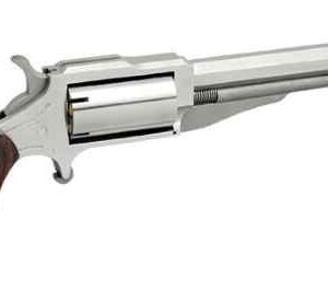 NAA The Earl 4″ Stainless 5-Shot — .22 Mag/.22 LR Combo