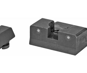 XS Sights R3D Night Sights – Taurus G2