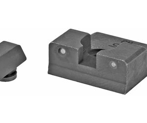 XS Sights R3D Night Sights — Taurus G2
