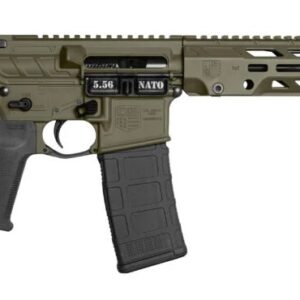 Diamondback DB15 Obsidian 5.56 NATO 11.5in ODG SBA5 Brace