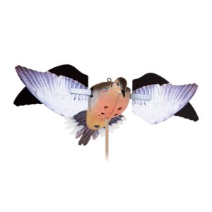 https3A2F2Fmedia.chattanoogashooting.com2Fimages2Fproduct2FAVAVXPDRW2FAVAVXPDRW-1 Avian-X Powerflight Replacement Wings Dove WINGS ONLY