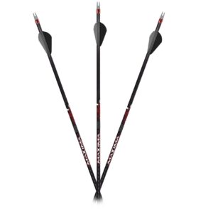 Carbon Express Maxima Sable RZ 400 Hunting Arrows – 6/pk
