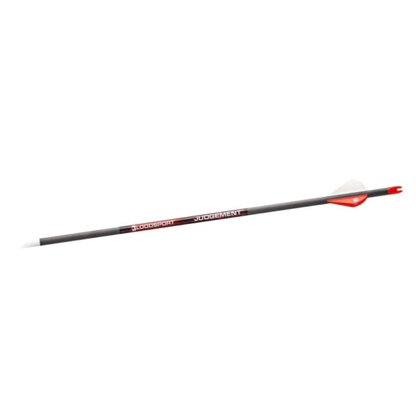https3A2F2Fmedia.chattanoogashooting.com2Fimages2Fproduct2FGMBLSPSB1351062FGMBLSPSB135106-1 Bloodsport Judgement Arrow 350 Spine 6/pk