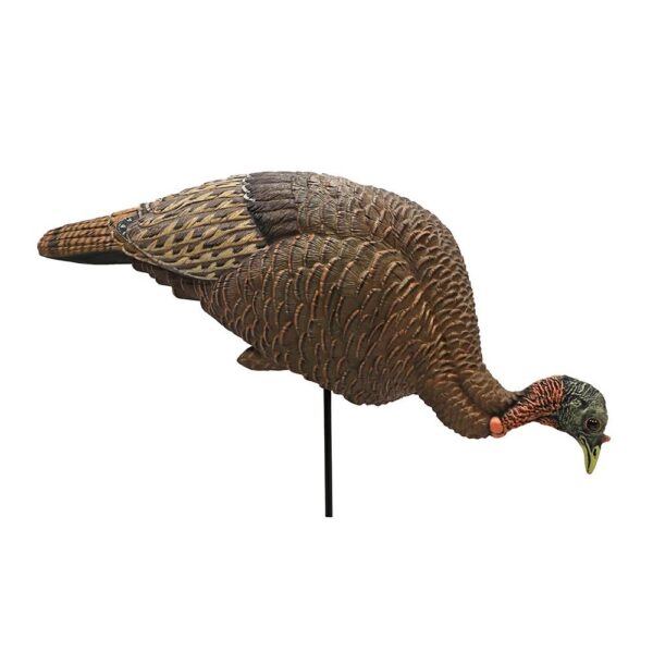 https3A2F2Fmedia.chattanoogashooting.com2Fimages2Fproduct2FJUHW25392FJUHW2539-1 MOJO Feeder / Breeder Hen Turkey Decoy