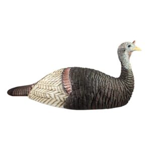 https3A2F2Fmedia.chattanoogashooting.com2Fimages2Fproduct2FRHTG88572FRHTG8857-1 The Grind Lay Down Hen Turkey Decoy
