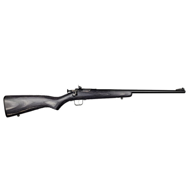 Davey Crickett Crickett G2 .22 LR 16.12″ Blued Laminate