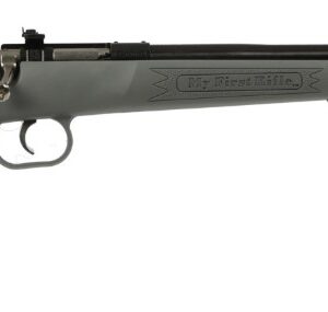 Crickett .22 LR 16.125″ Blued/Gray