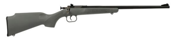Crickett .22 LR 16.125″ Blued/Gray