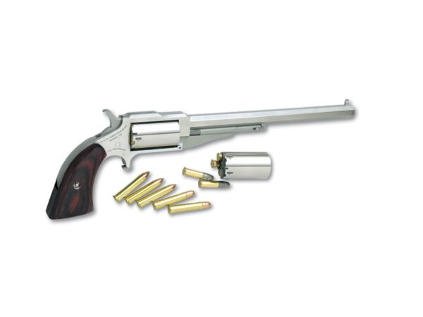 NAA Mini-Rev 1860 “Earl” Hogleg 6″ Stainless 5-Shot