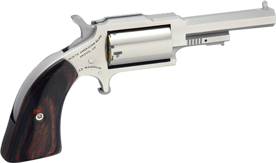 p791sheriffc6001297 NAA 1860 Sheriff 2.5″ Stainless 5-Shot Revolver