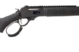 Rossi R95 Triple Black .454 Casull 16.5 in Threaded 7rd