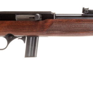 ROSSI RS22 .22 LR 18in Wood Stock 10rd