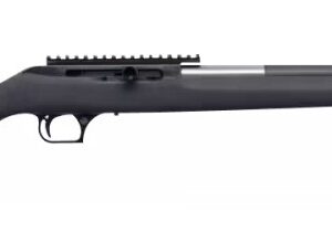 Magnum Research SBA17HMR 17 HMR 19in Threaded Hogue