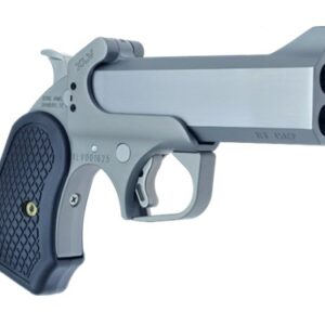 Bond Arms XLV .45/.410 4.25″ Stainless Derringer